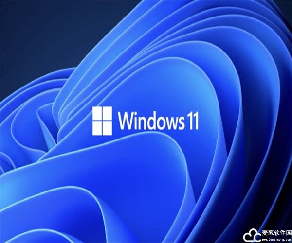 Windows11企业版