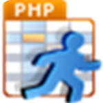 PHPRunner破解版 v10.3汉化版