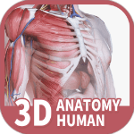 口袋解剖手机版 v3.0.1安卓版