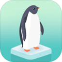企鹅岛内置菜单版 v1.52.2安卓版