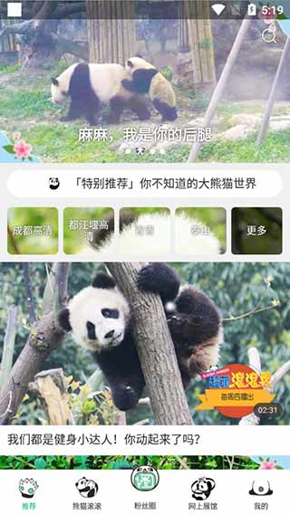 熊猫频道手机版