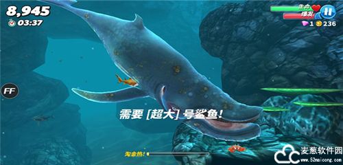饥饿鲨世界国际版破解版无限珍珠版